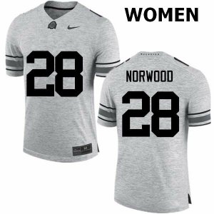 Women's Ohio State Buckeyes #28 Joshua Norwood Gray Nike NCAA College Football Jersey Hot Sale OPD0044NL